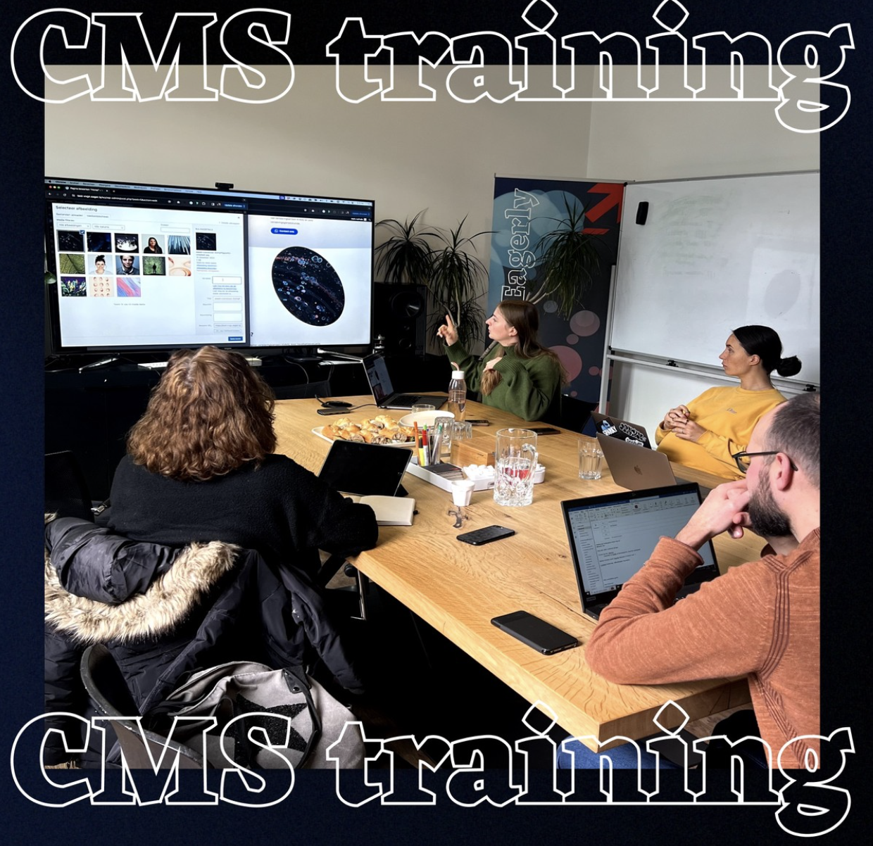 CMS training